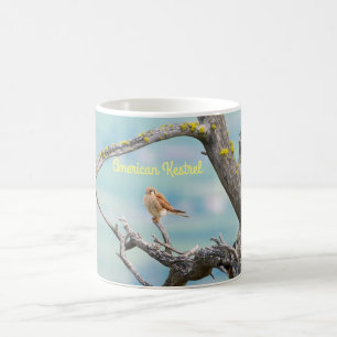 Amerikaanse kestrel koffiemok