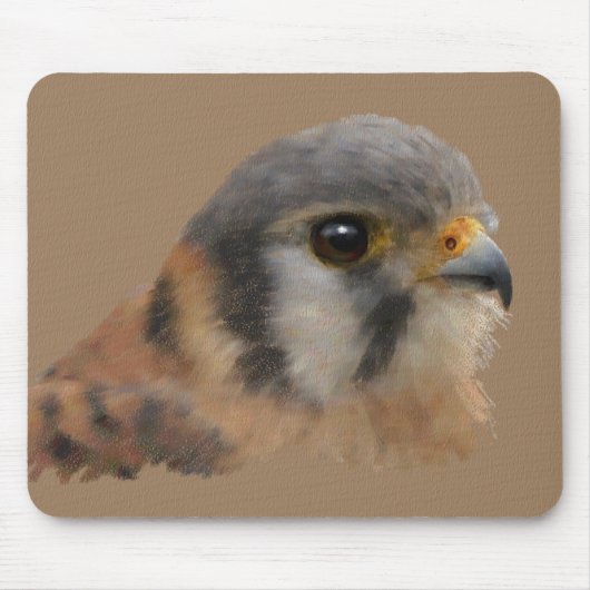 Amerikaanse kestrel muismat (Voorkant)