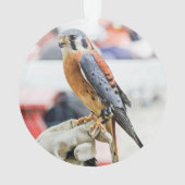 Amerikaanse kestrel ornament (achterkant)