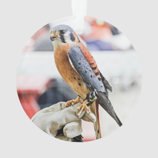 Amerikaanse kestrel ornament (achterkant)