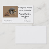 Amerikaanse kestrel visitekaartje (Voorkant / Achterkant)