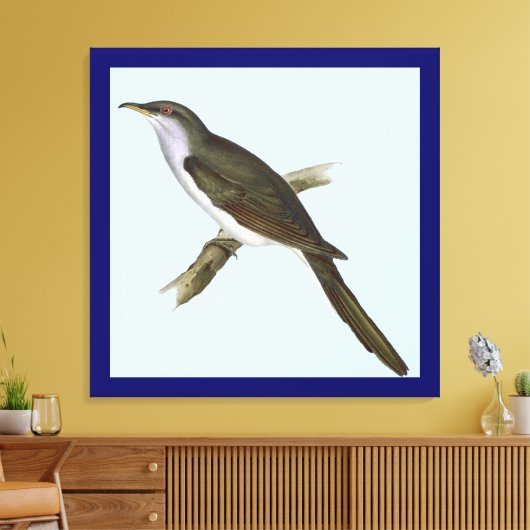 Amerikaanse koekoek vogel canvas Print (Insitu (Woonkamer))