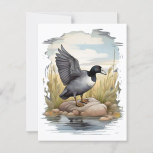 Amerikaanse koet in wetlands briefkaart