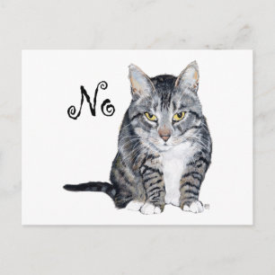 Amerikaanse Korthaar Kat - Nee Briefkaart