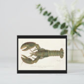 Amerikaanse kreeft - Sherman Denton Fish Lithograp Briefkaart (Staand voorkant)