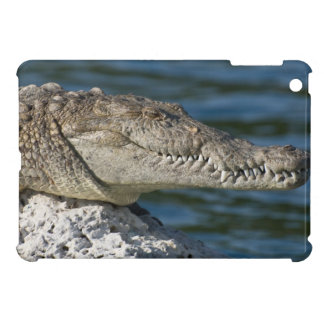 Amerikaanse krokodil iPad mini case