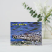 Amerikaanse krokodile Everglades Briefkaart (Staand voorkant)
