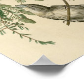 Amerikaanse kruisvaarder poster (Hoek)