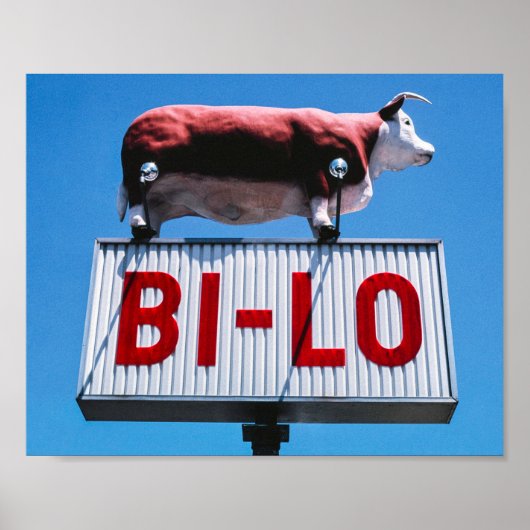 -Amerikaanse landschap Poster (Voorkant)