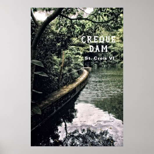 Amerikaanse Maagdeneilanden Regenwoud Creque Dam U Poster (Voorkant)