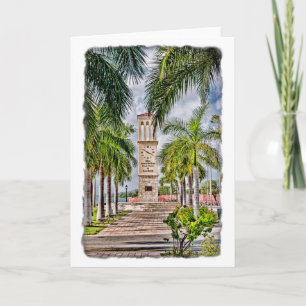 Amerikaanse Maagdeneilanden St. Croix Palm Trees T Kaart