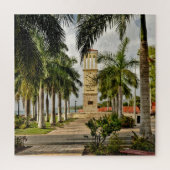 Amerikaanse Maagdeneilanden St. Croix Palm Trees T Legpuzzel (Verticaal)