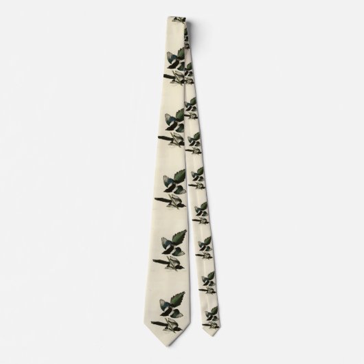 Amerikaanse Magpie uit de Amerikaanse vogels van A Stropdas (Voorkant)