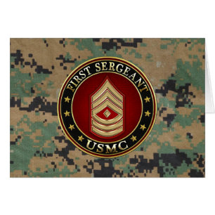 Amerikaanse mariniers: Eerste brigadier (USMC 1stS