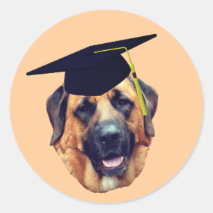 Amerikaanse Mastiff Dog Graduation Cap Ronde Sticker