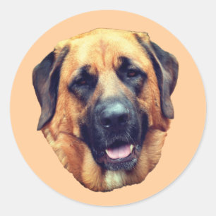Amerikaanse Mastiff Dog Ronde Sticker