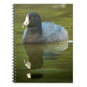Amerikaanse Meerkoet Wilde Natuur Vogel Kunstprint Notitieboek