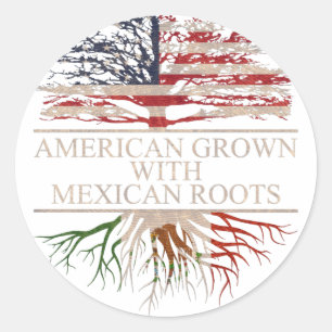 Amerikaanse mexicaanse wortels ronde sticker