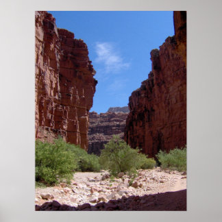 Amerikaanse muren poster