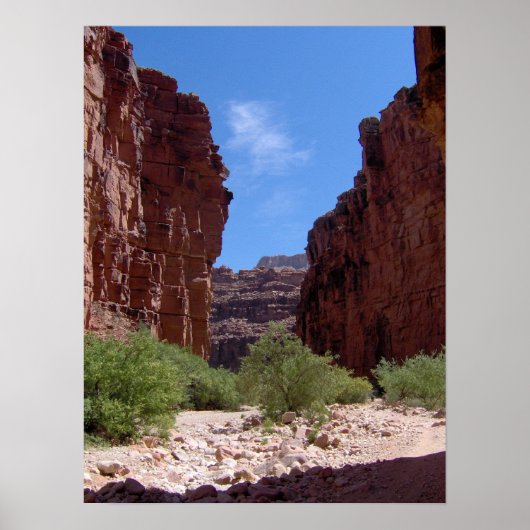 Amerikaanse muren poster (Voorkant)