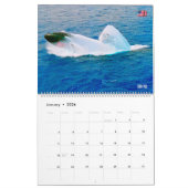 AMERIKAANSE ONDERZEEËRS KALENDER (Jan 2026)