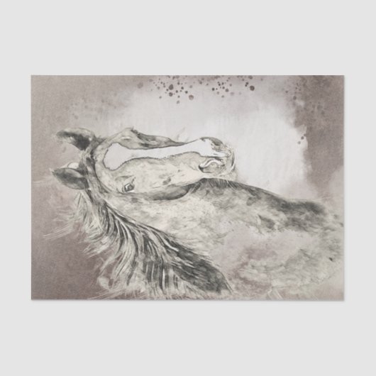 Amerikaanse ontkoppeling van de tekening van zadel tissuepapier (Voorkant)