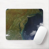 Amerikaanse oostkust muismat (Met muis)