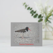 Amerikaanse Oystercatcher Briefkaart (Staand voorkant)