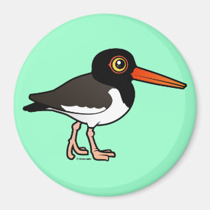 Amerikaanse Oystercatcher Magneet