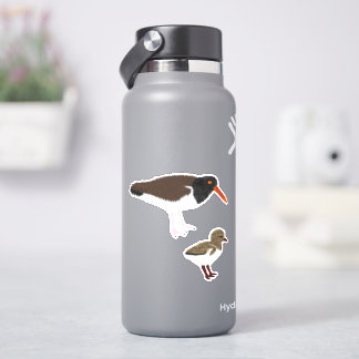 Amerikaanse Oystercatcher met Chick Sticker
