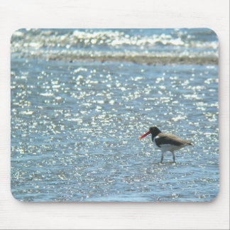 Amerikaanse Oystercatcher Mousepad Muismat