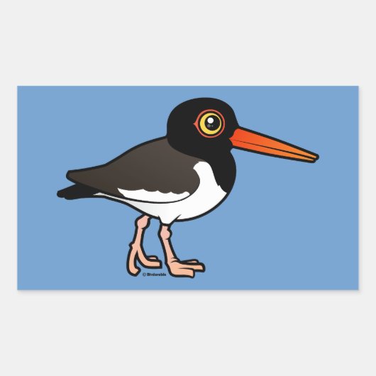 Amerikaanse Oystercatcher Rechthoekige Sticker (Voorkant)