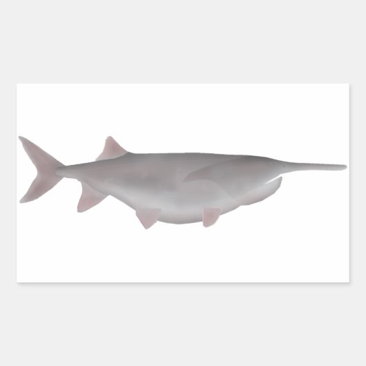 Amerikaanse paddlefish rechthoekige sticker (Voorkant)