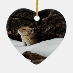 Amerikaanse Pika in de Sneeuw met Hartvormig Keramisch Ornament
