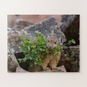 Amerikaanse Pika Jigsaw Puzzel (Horizontaal)