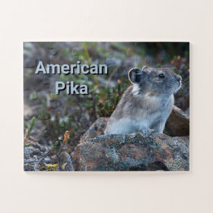 Amerikaanse pika verborgen in rotsen legpuzzel