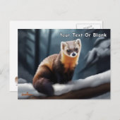 Amerikaanse pine Marten Briefkaart (Voorkant / Achterkant)