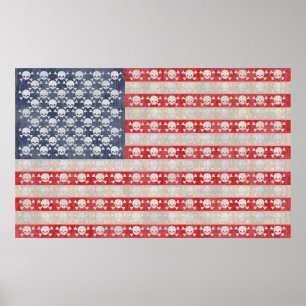 Amerikaanse piratenvlag poster