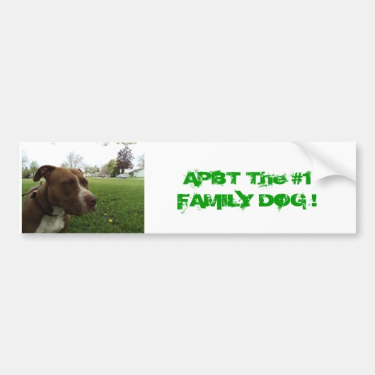 Amerikaanse Pit Bull Terrier Bumpersticker (Voorkant)