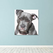 Amerikaanse Pit Bull Terrier Canvas Afdruk (Insitu (Houten vloer))