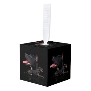 Amerikaanse Pit Bull Terrier Kubus Ornament