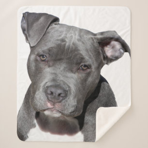 Amerikaanse Pit Bull Terrier Sherpa Deken