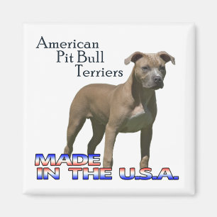 Amerikaanse Pit Bull Terriers : Square Magnet Magneet