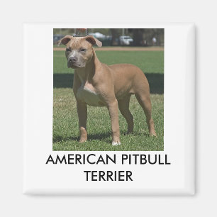 Amerikaanse Pitbull Terrier Magnet Magneet