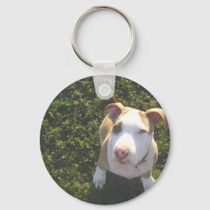 Amerikaanse PitBull Terrier Omhoog Kijkend Sleutelhanger