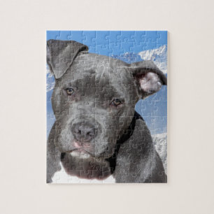 Amerikaanse Pitbull Terrier Puppy Dog Legpuzzel