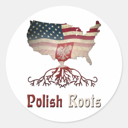 Amerikaanse Poolse wortels Ronde Sticker (Voorkant)