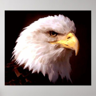Amerikaanse Poster Eagle Bald Eagle
