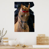 Amerikaanse Poster met saddlebred Horse Print (Keuken)