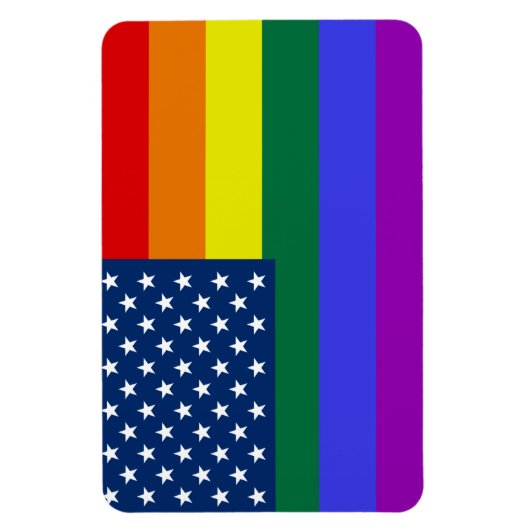 Amerikaanse Rainbow Pride Magneet (Verticaal)
